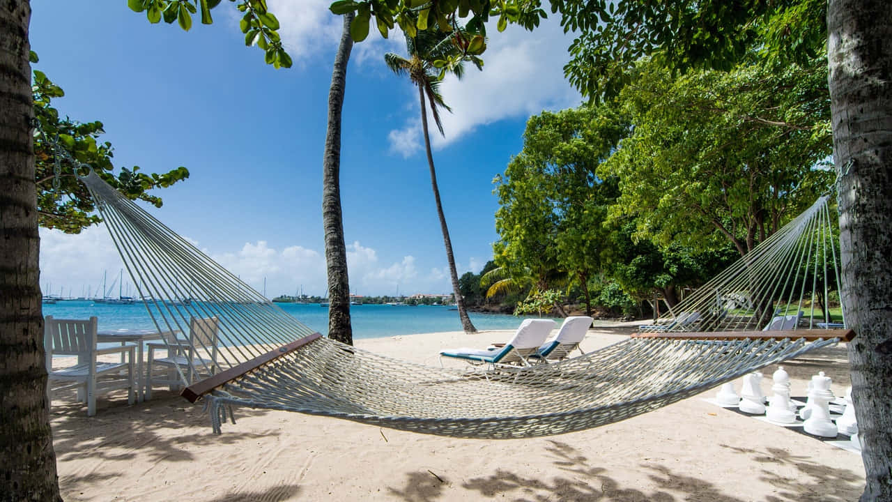 Caribbean Island 桌布 壁紙 — 白色吊床懸掛在棕櫚樹之間，沙灘上有碧綠的海水和帆船，天空湛藍明亮。
