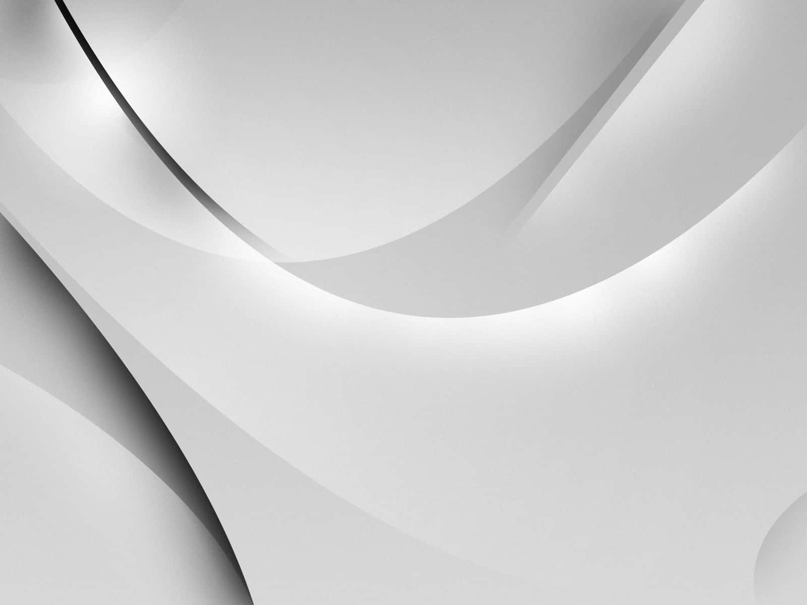White Abstract 桌布 壁紙 — 白色和灰色抽象形態的平滑流動曲線，配合柔和陰影，營造出極簡現代美學。