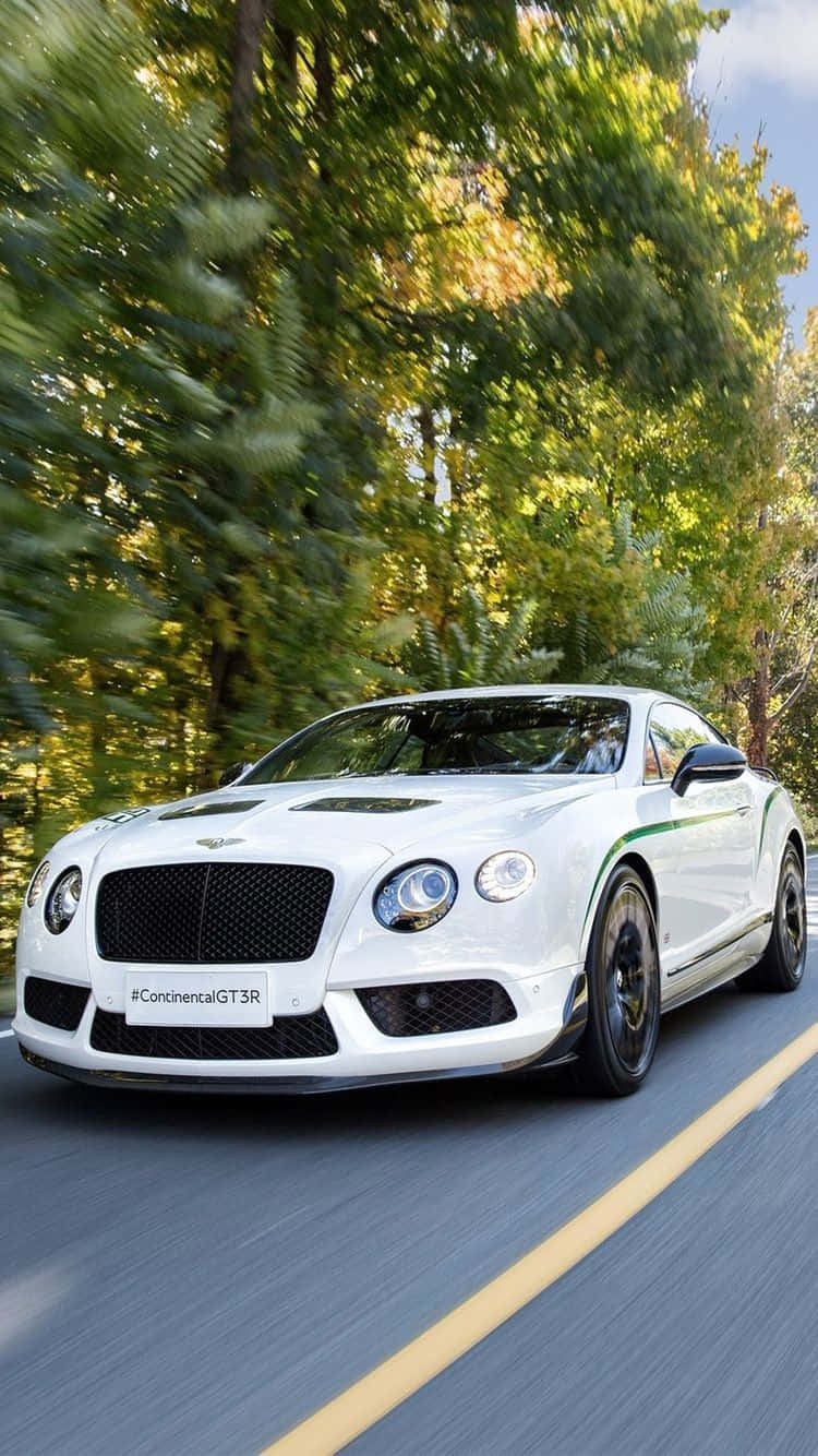 白色賓利 Continental GT3R 在陽光明媚的秋日森林中奔馳。