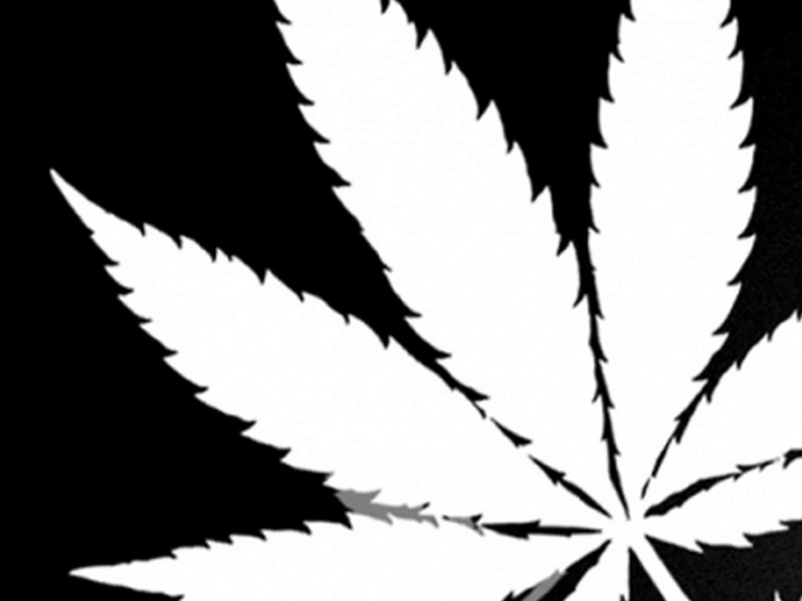 黑色背景上的白色大麻葉