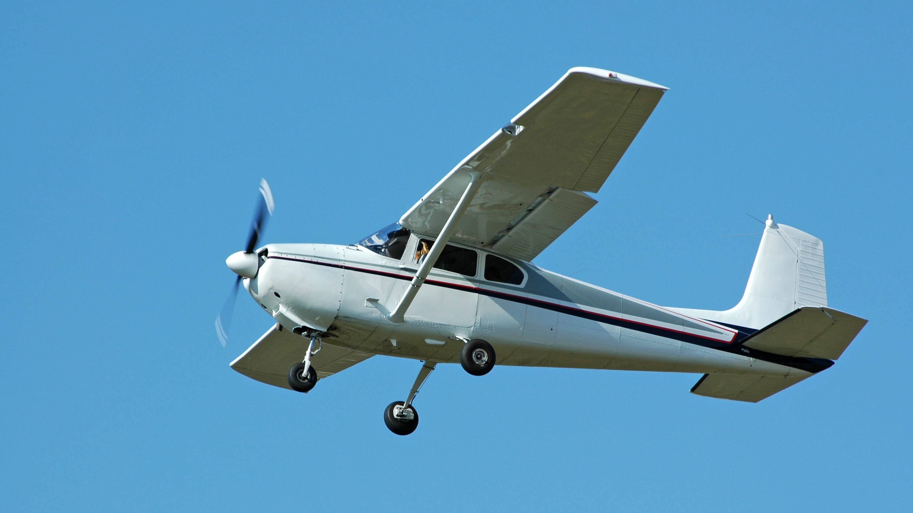 白色小型飛機 壁紙 — 一架白色單引擎螺旋槳飛機放下起落架，在清澈的藍天中翱翔。