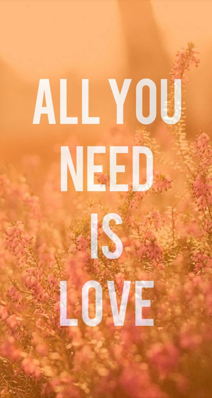 Love Quotes 桌布 壁紙 — 白色文字寫著「ALL YOU NEED IS LOVE」，疊加在一片柔焦的粉紅色花朵上，花朵沐浴在溫暖的金色光芒中。