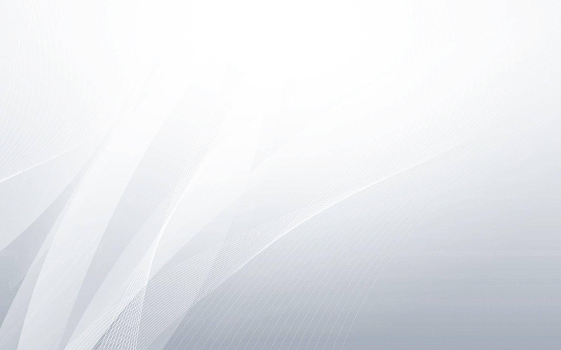 帶有柔和漸變和極簡設計的抽象白色流動線條。