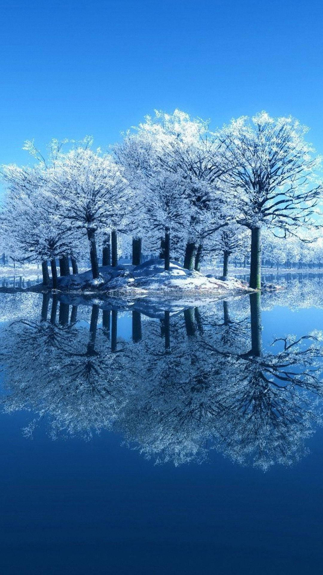 白色樹林驚豔手機壁紙 壁紙 — 冰凍島嶼上積雪覆蓋的樹木，在清澈冬日天空下完美倒映在冰藍色水中。