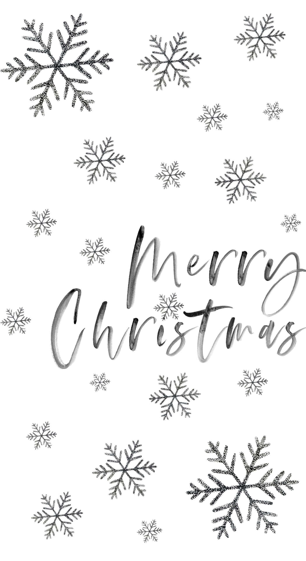 Merry Christmas文字被雪花環繞在白色背景上。
