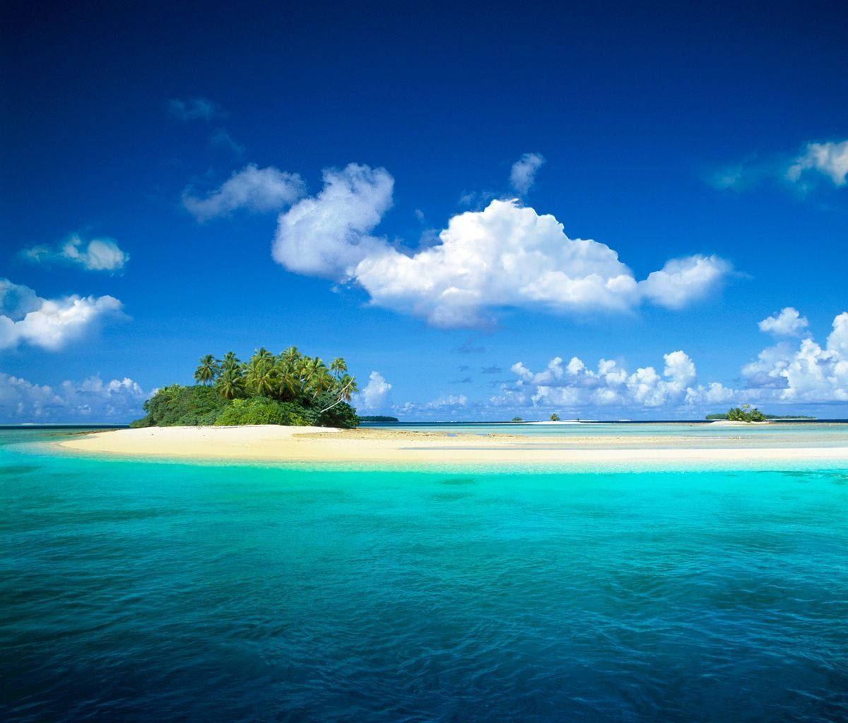 熱帶島嶼，有棕櫚樹和碧綠海水，在藍天白雲下