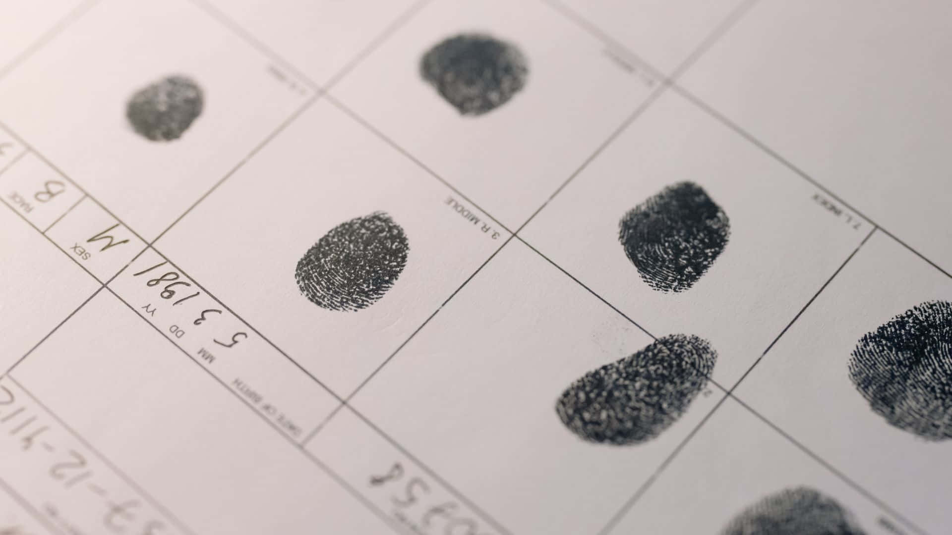 Fingerprint 桌布 壁紙 — 白色法證卡上深色墨水指紋的特寫，帶有印刷欄位和手寫細節。