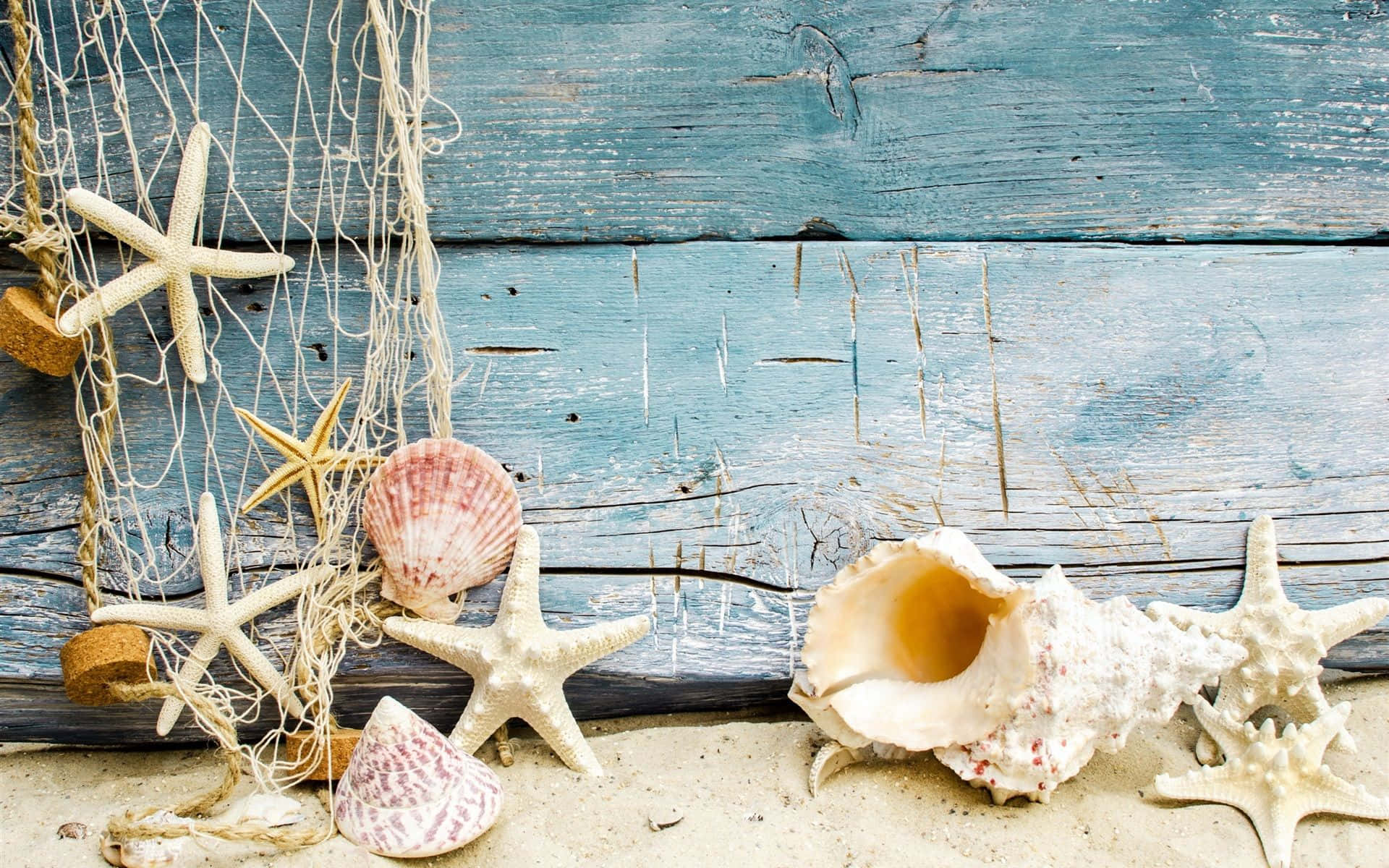 Seashell 桌布 壁紙 — 白色海星和各種貝殼躺在沙灘上，旁邊是風化的藍色木板和漁網。
