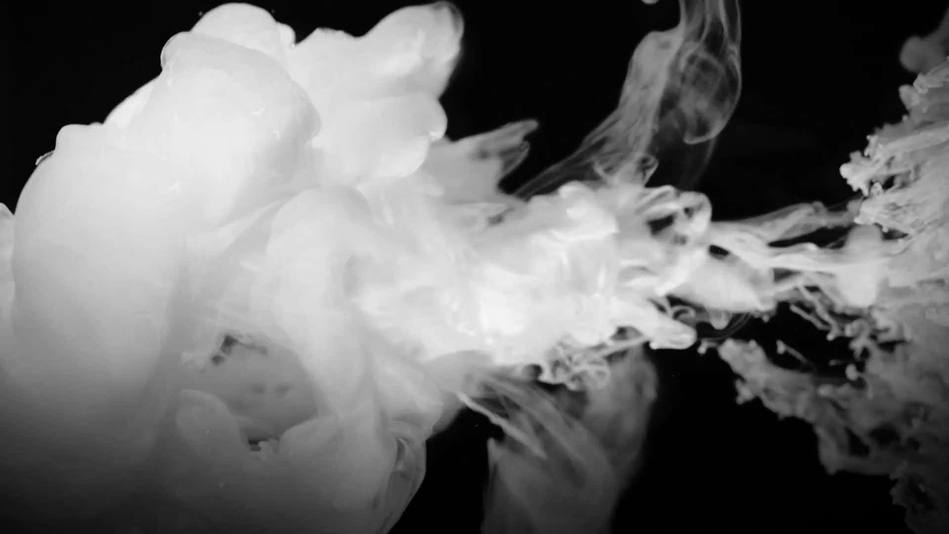 白色墨水雲在黑色水中旋轉溶解。