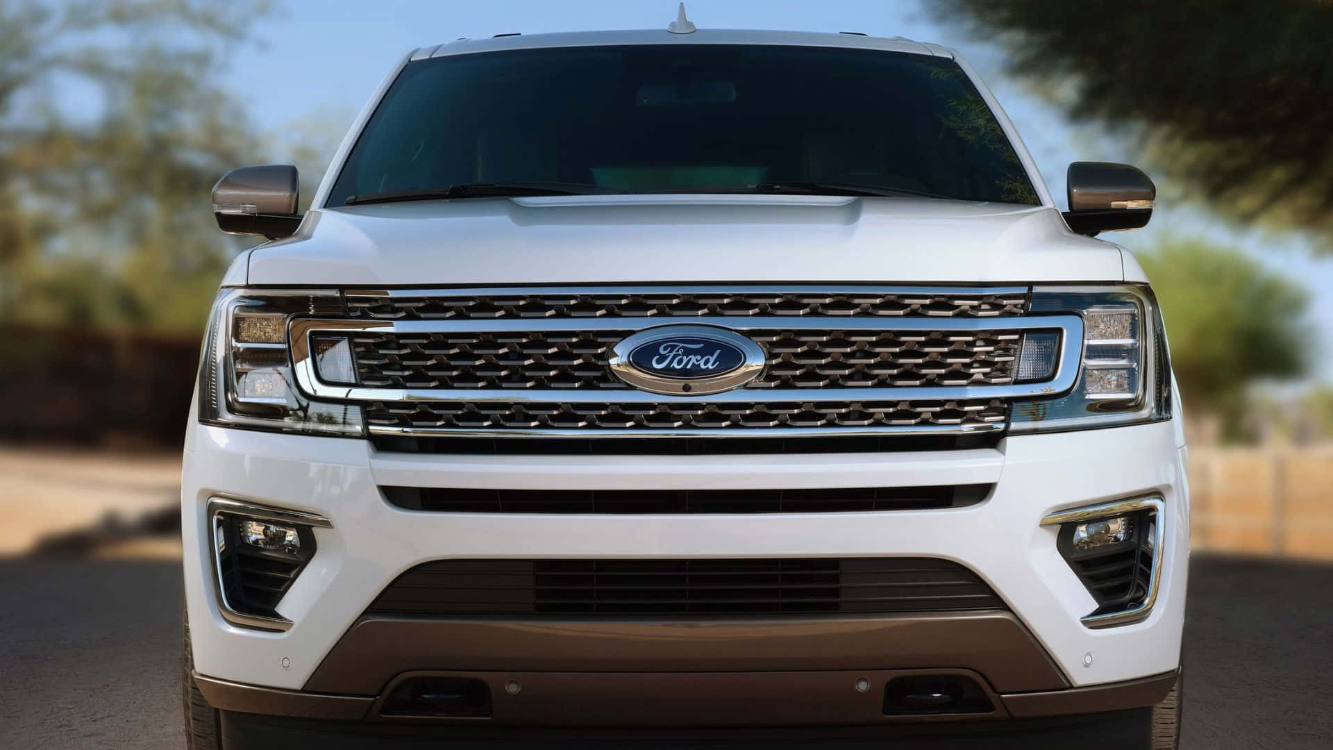 Ford Expedition 桌布 壁紙 — 白色福特SUV前視圖，配備鍍鉻格柵和現代車頭燈，在晴朗藍天下停放在戶外。
