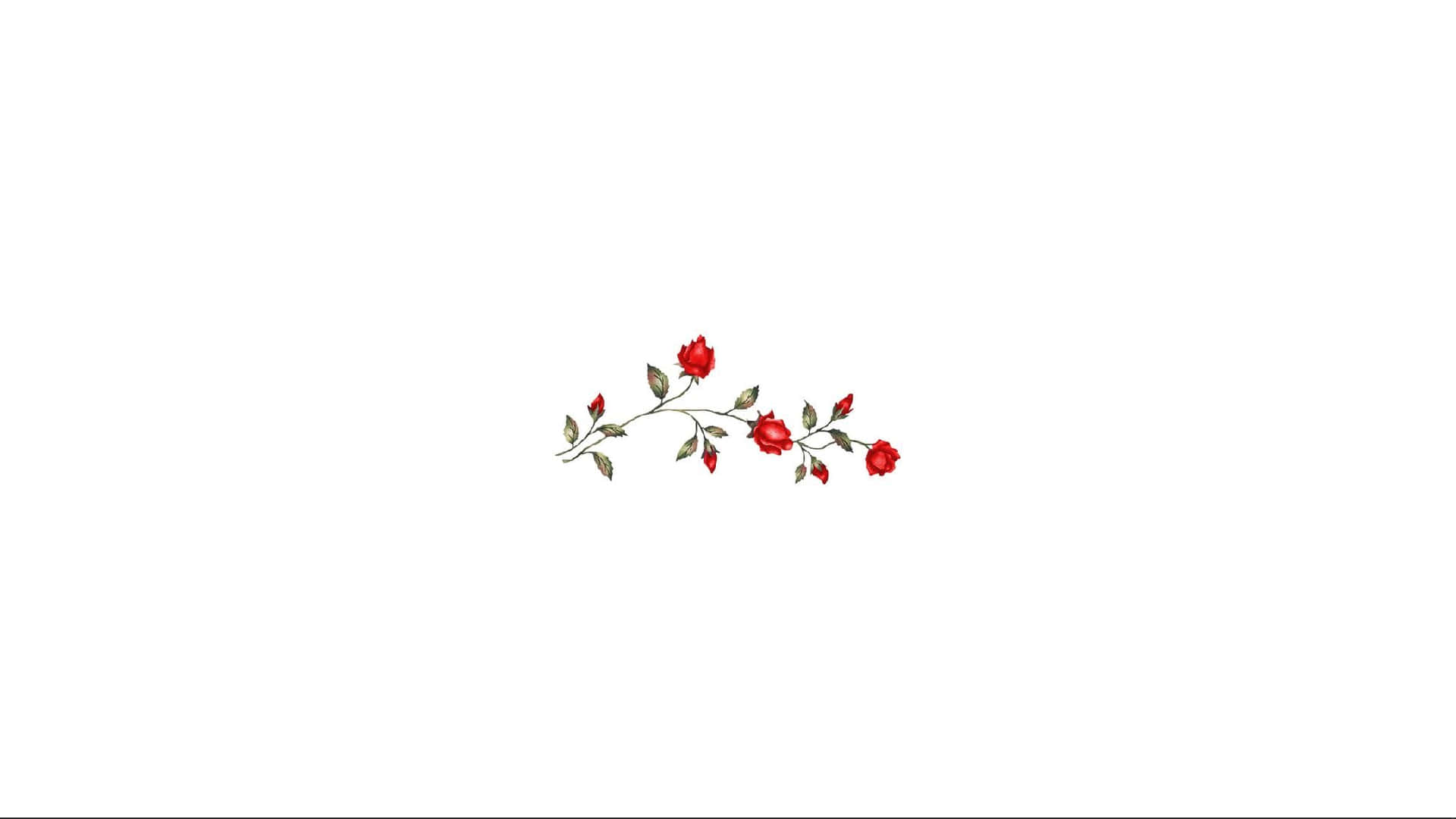 一條細長的樹枝，帶有紅玫瑰和綠葉，在白色背景上。