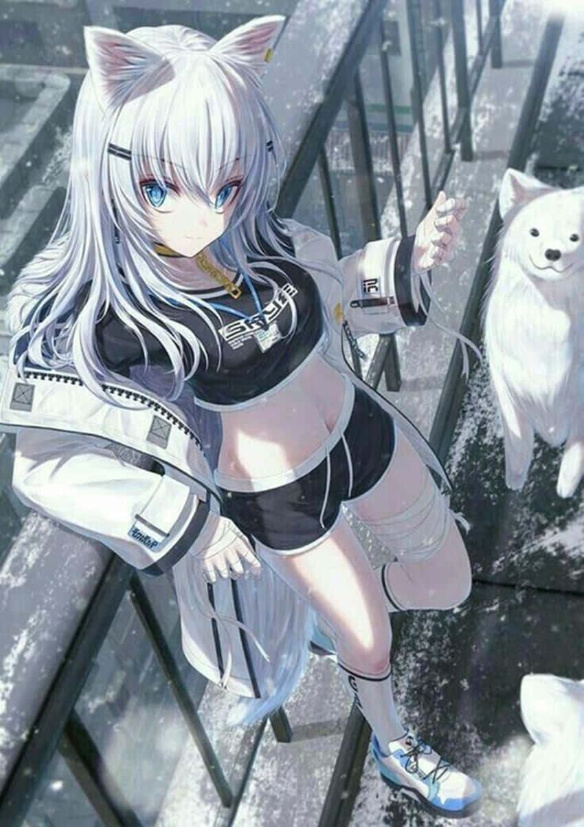 白色美學的可愛動漫狼少女 壁紙 — 一位銀髮貓耳動漫女孩和一隻白狗在明亮的日光下站在玻璃橋上。
