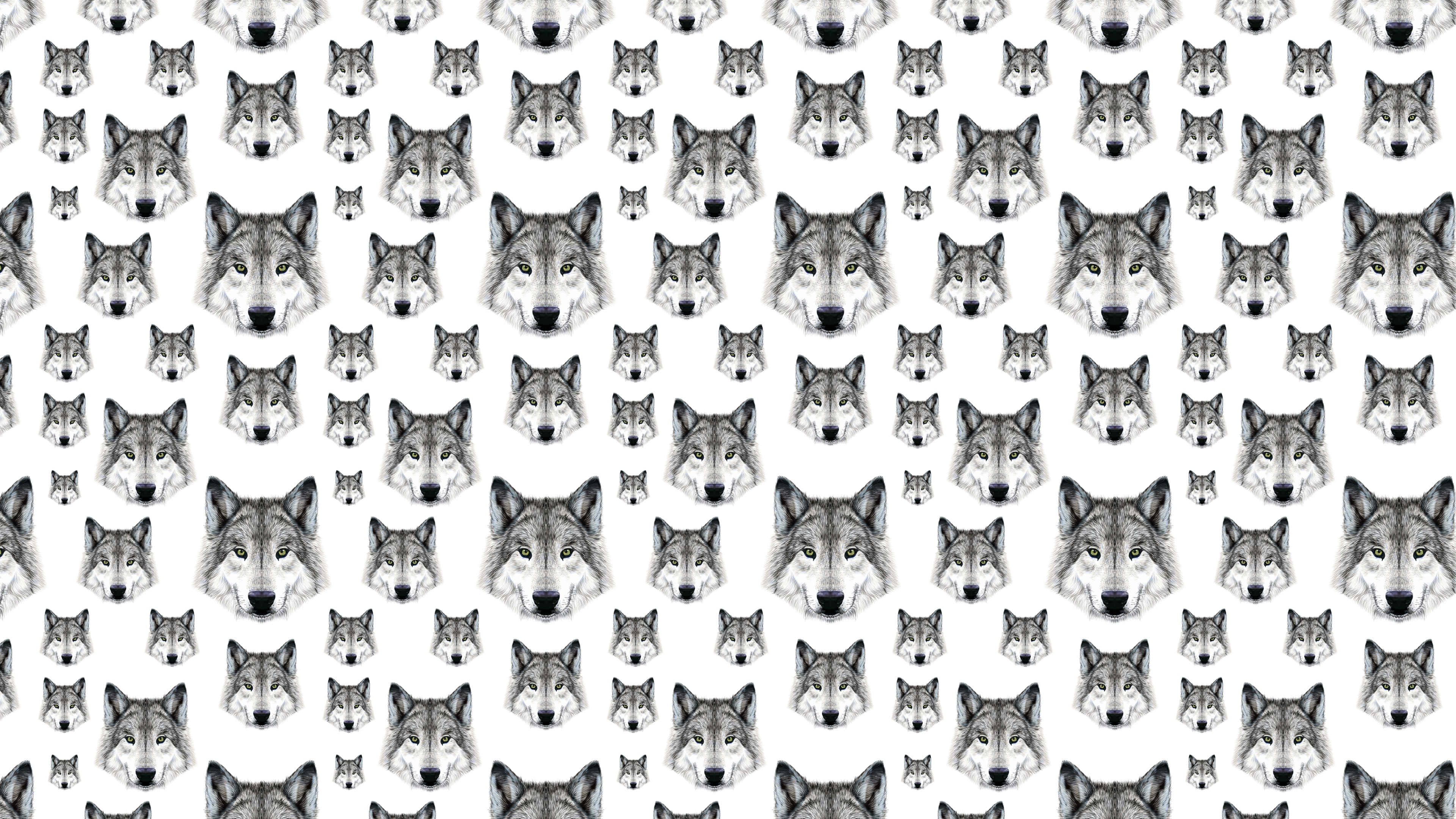 Wolf Pattern 桌布 壁紙 — 白色背景上重複的灰階詳細狼臉圖案。