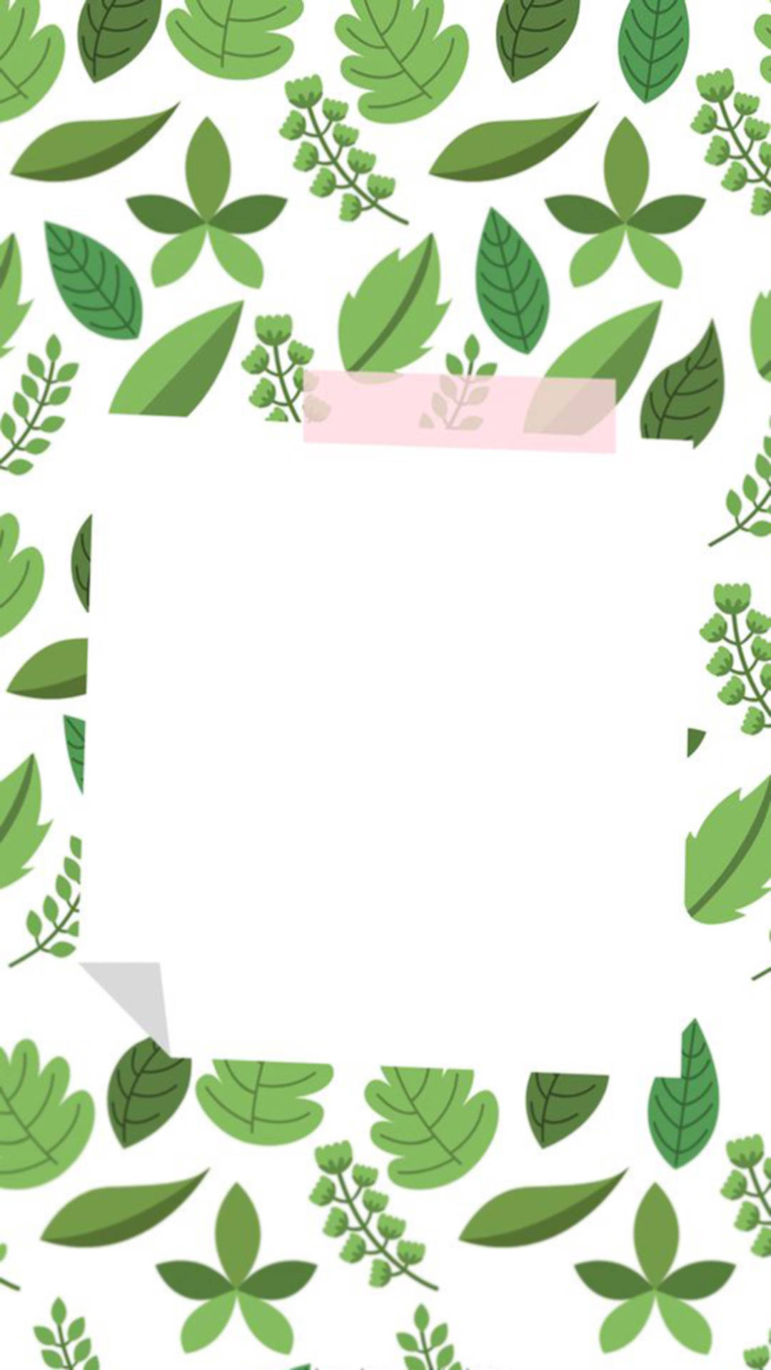 白色背景上的綠色葉片邊框圖案，適用於壁紙。 — 寶麗來 GIF 壁紙