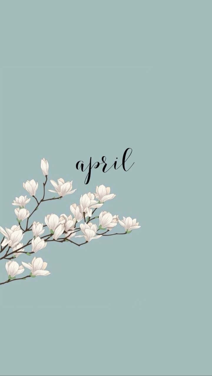 白色木蘭枝條配薄荷綠色背景上的april文字