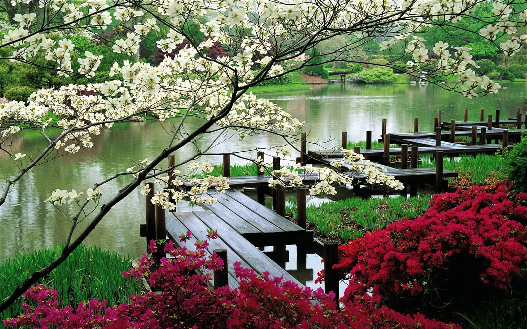 Garden Photography 桌布 壁紙 — 白色花朵框住一條木製碼頭，延伸至一個被茂密綠植和鮮豔粉紅杜鵑花環繞的平靜池塘上。