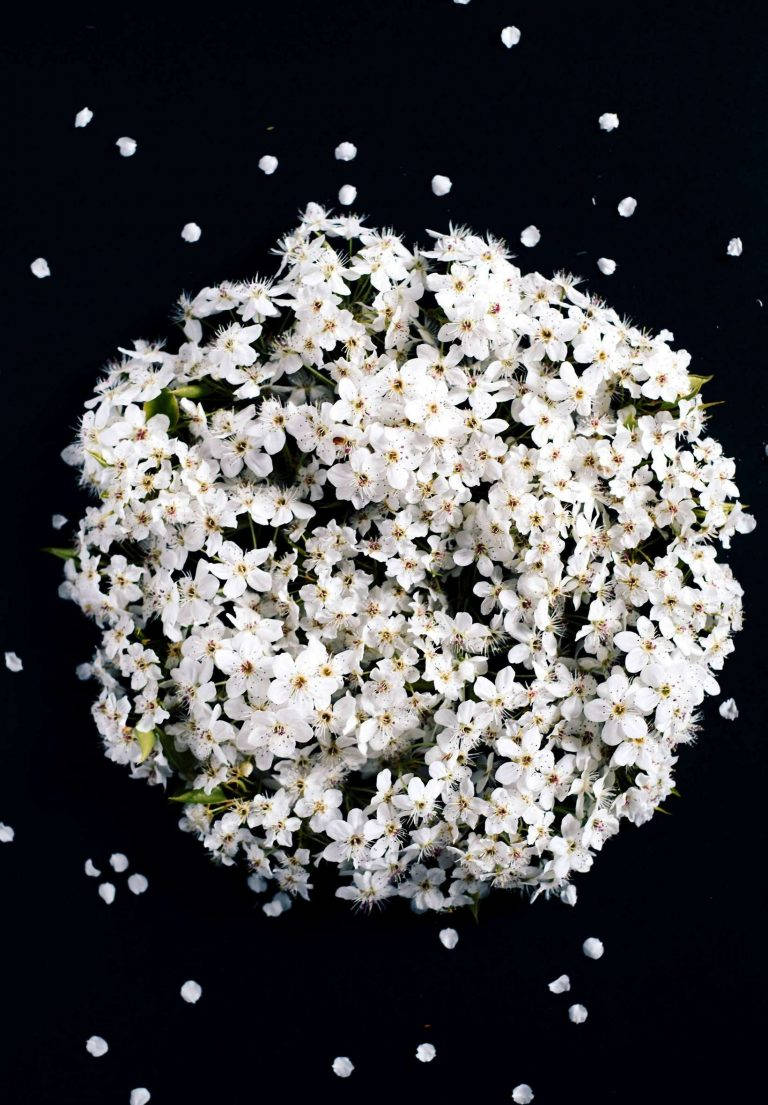 白色花朵和花瓣散落在黑色表面上。