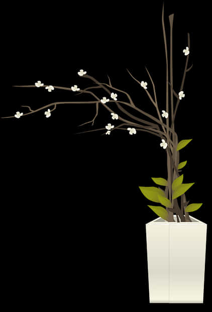 白色花盆中的白色花枝 壁紙 — 極簡白色花瓶，插著帶有小白色花朵和綠色葉子的裸露樹枝，背景為 stark 黑色。