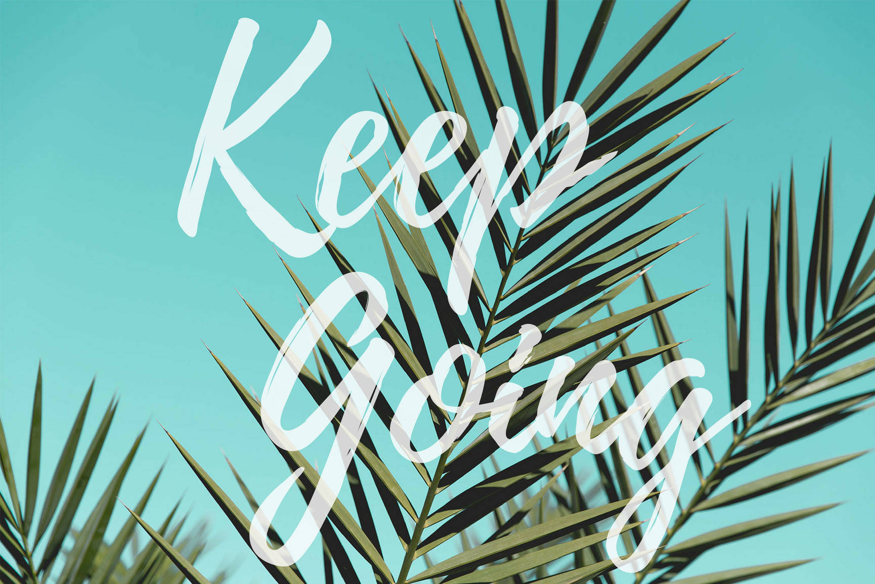 preppy 桌布 壁紙 — 白色草書文字「Keep Going」覆蓋在充滿活力的綠色棕櫚葉上，背景是明亮的藍綠色天空。