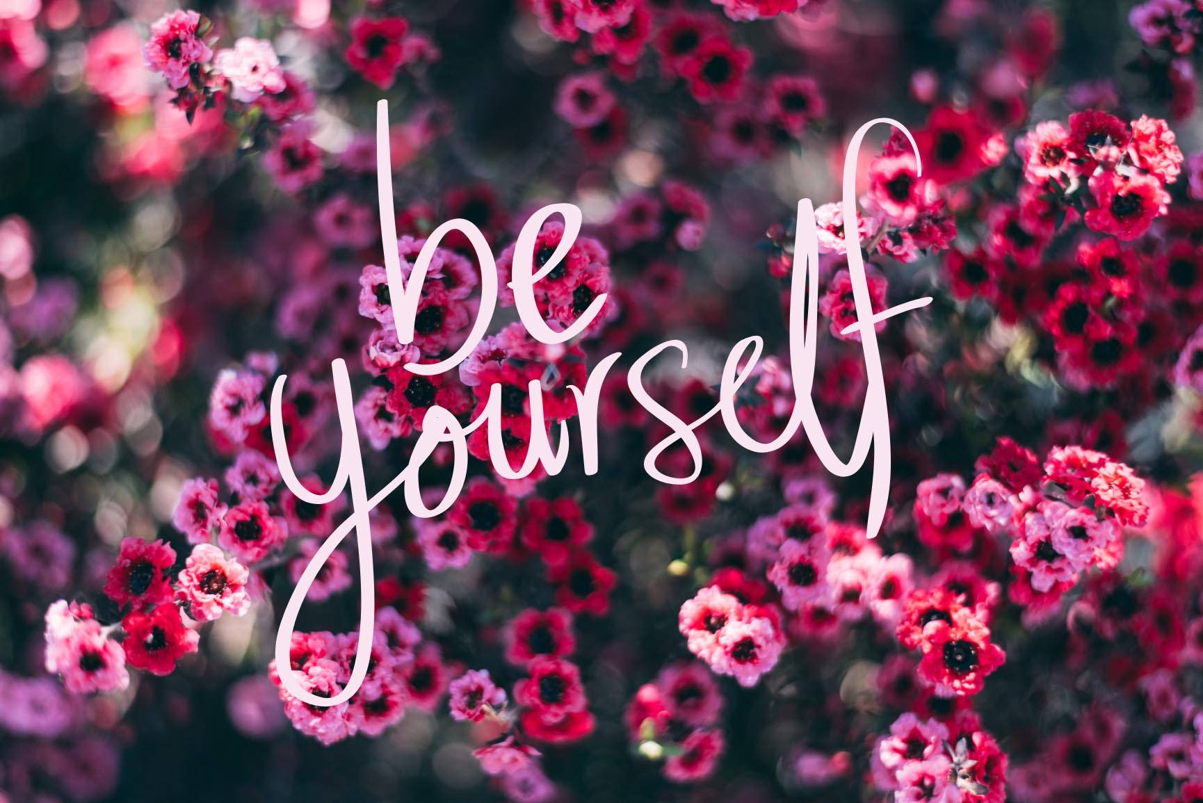 Positive Quotes 桌布 壁紙 — 白色草書文字寫著做自己，疊加在充滿活力的粉紅色和紅色花朵（帶有深色中心）的田野上。