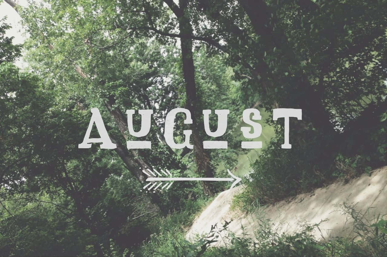 August 桌布 壁紙 — 白色襯線字體的「August」一詞，帶有箭頭穿過茂密的綠樹和陽光照耀的泥土小徑。