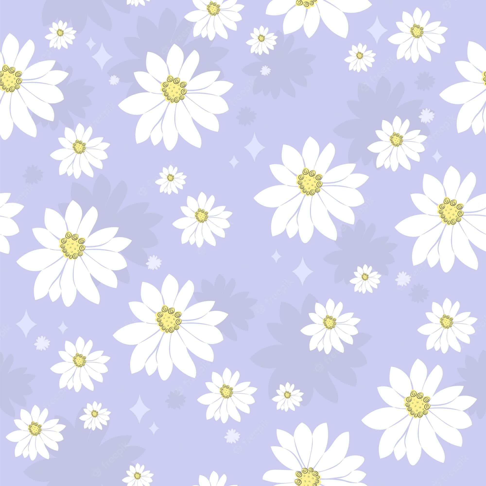 Cute Flower 桌布 壁紙 — 白色雛菊帶有黃色花心，在柔和的薰衣草背景上盛開，背景點綴著微妙的星爆和花卉剪影。
