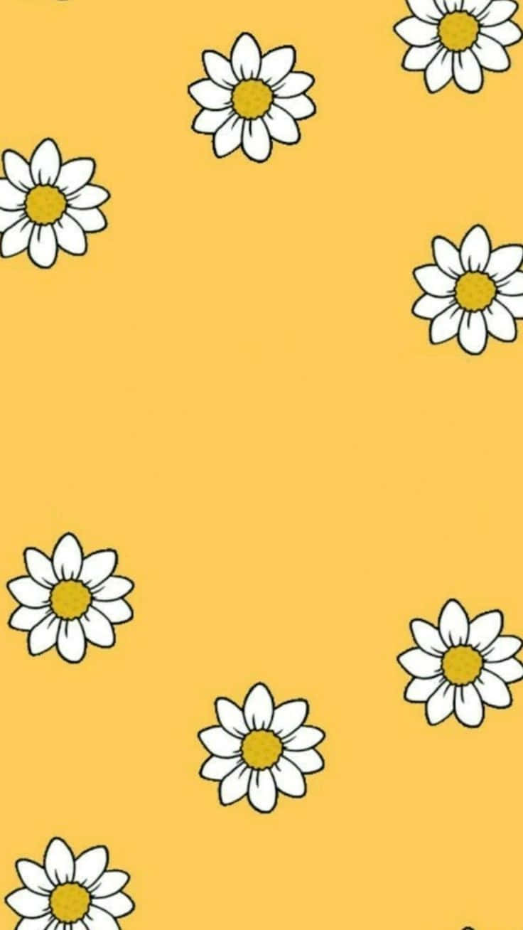 Yellow Summer 桌布 壁紙 — 白色雛菊帶有黃色花心，漂浮在純芥末黃色背景上，形成散落圖案。
