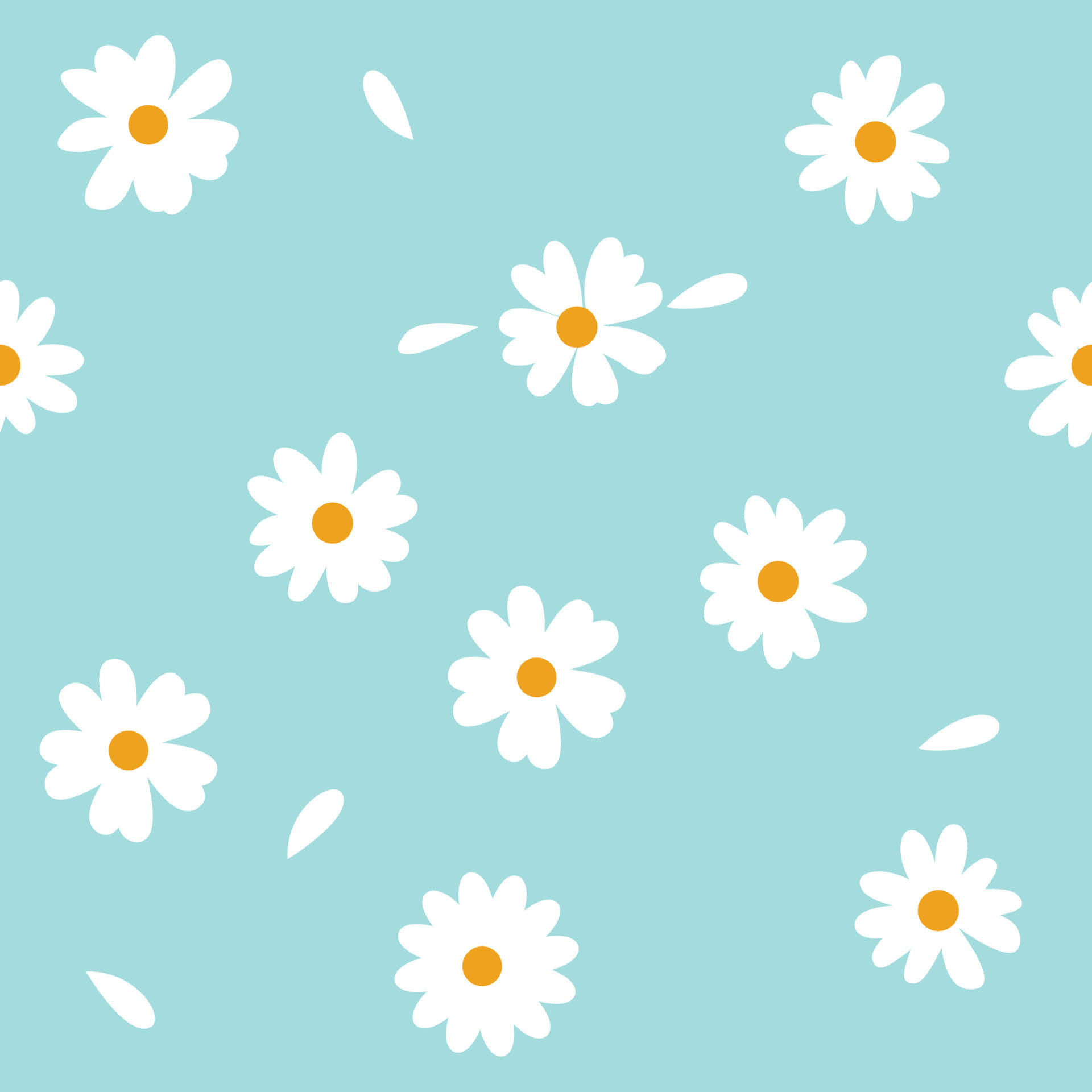 Cute Flower 桌布 壁紙 — 白色雛菊帶橙色花心，在柔和的薄荷綠色背景上輕輕漂浮，散落著花瓣。