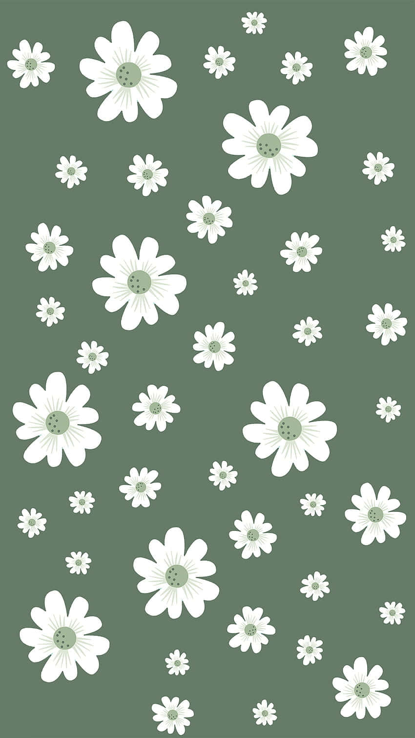 Cute Flower 桌布 壁紙 — 白色雛菊帶綠色花心，在柔和的橄欖綠背景上以散落圖案漂浮。