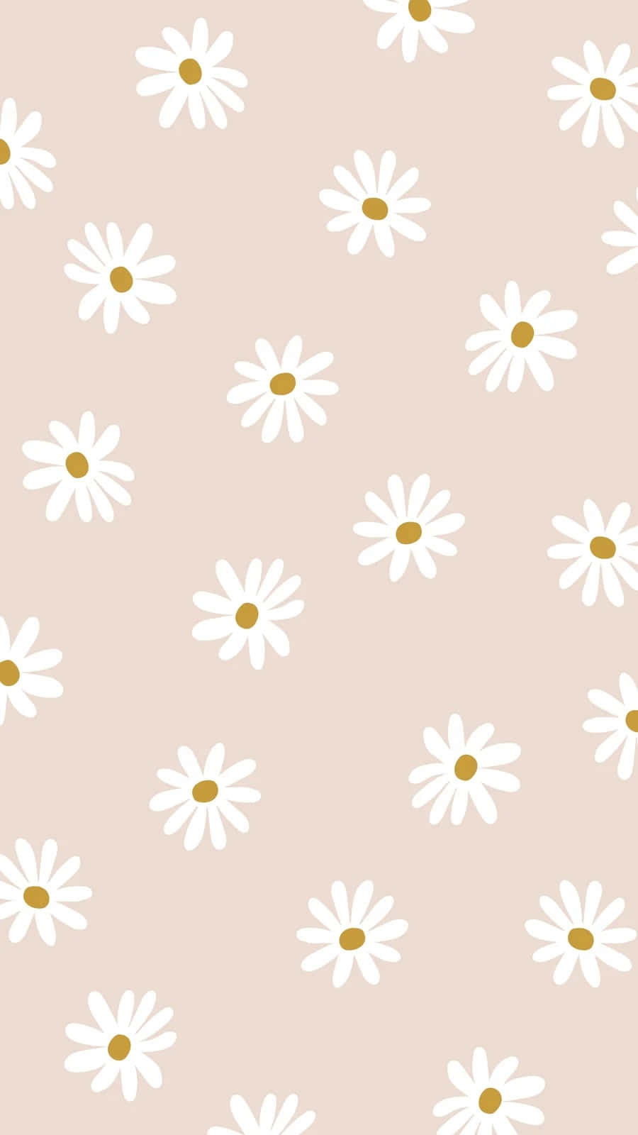 Pastel Cute 桌布 壁紙 — 白色雛菊帶金色花心，在柔和的粉紅色背景上以散落圖案輕輕漂浮。