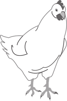白色雞仔卡通插圖 壁紙