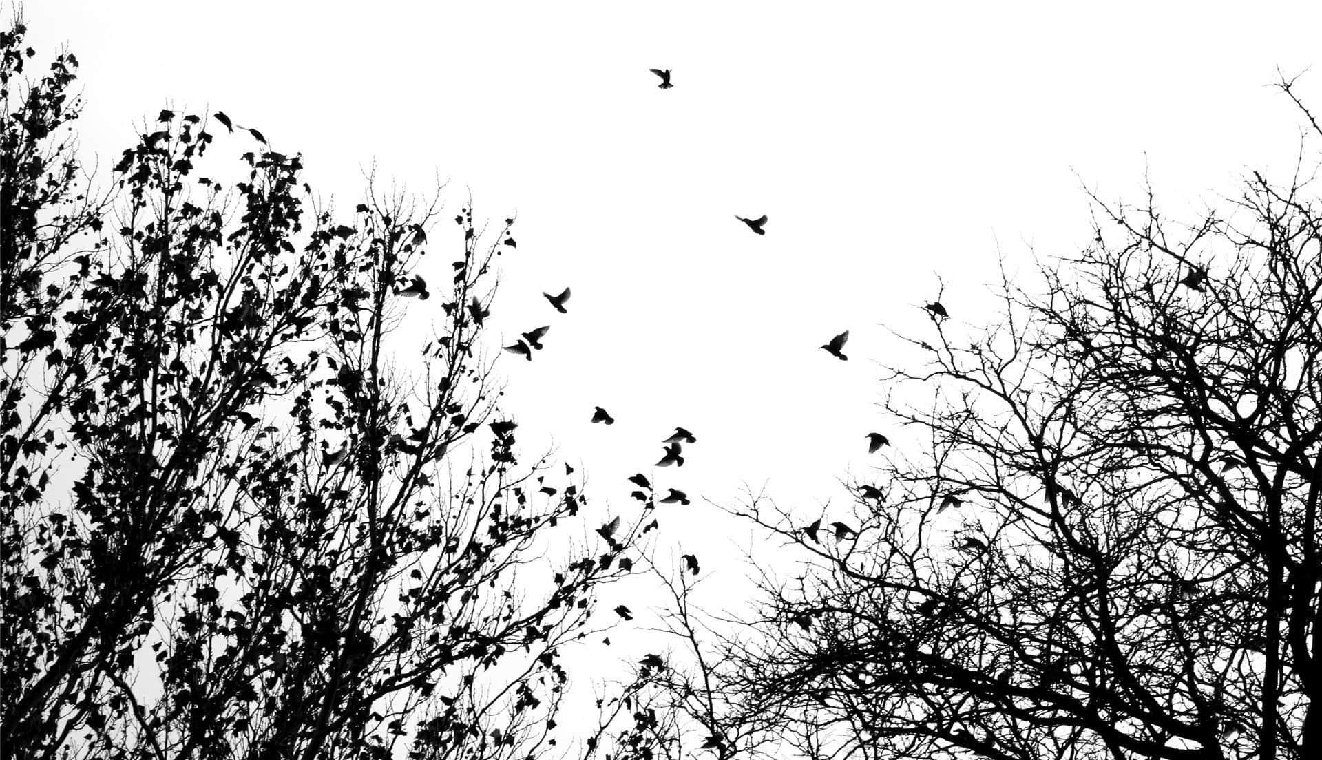 鳥兒在光禿禿的樹枝間飛翔，映襯著白色的天空。