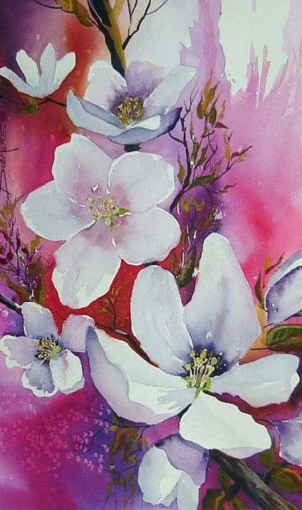 水彩藝術作品，白色木蘭花襯托粉紅色和紫色背景。