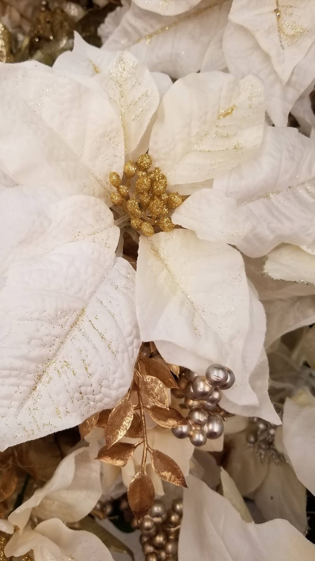 白色聖誕花配金色閃粉和金屬漿果，用於節日裝飾。