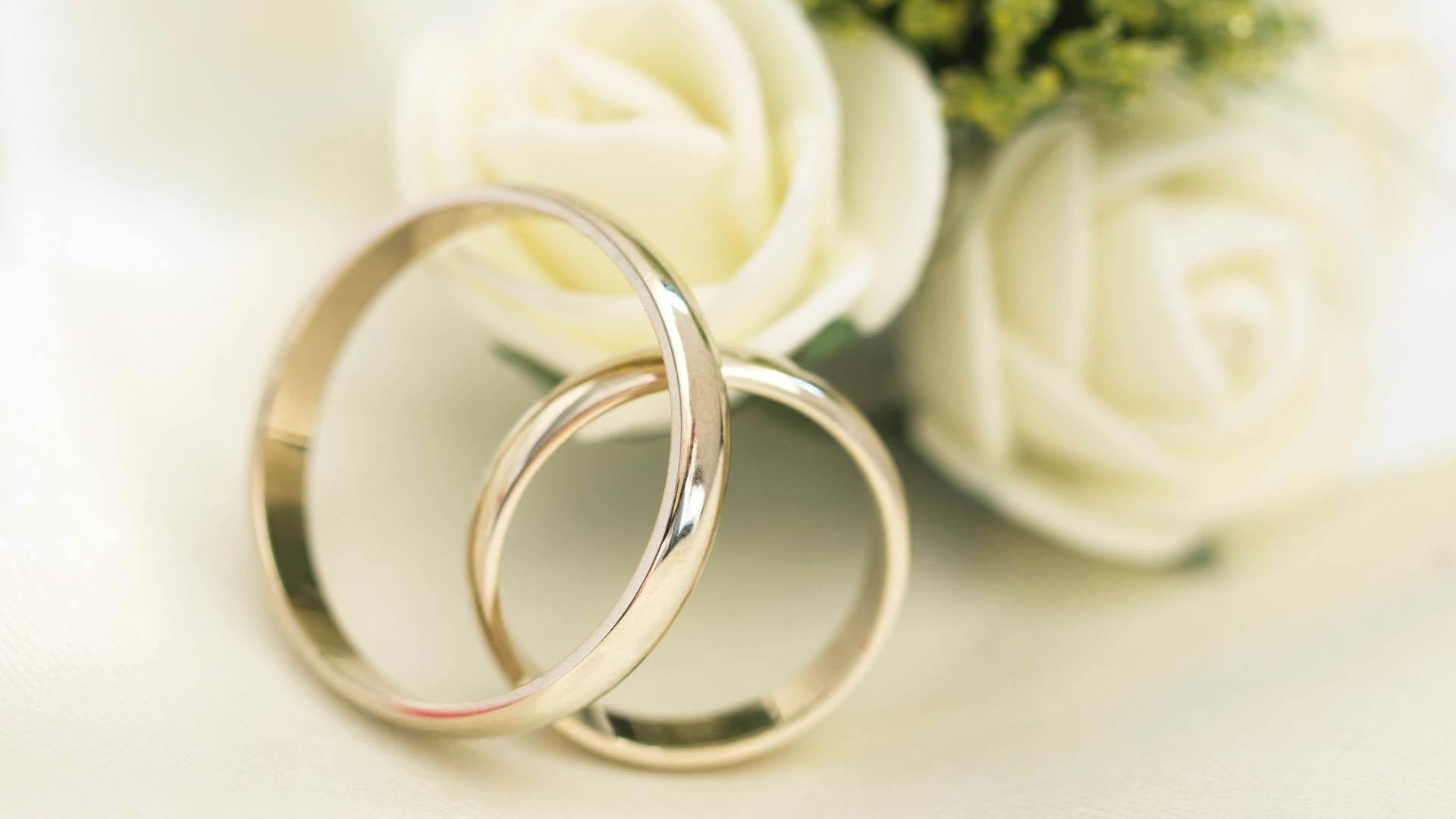 奶油色背景上，兩枚結婚戒指放在白玫瑰旁邊。