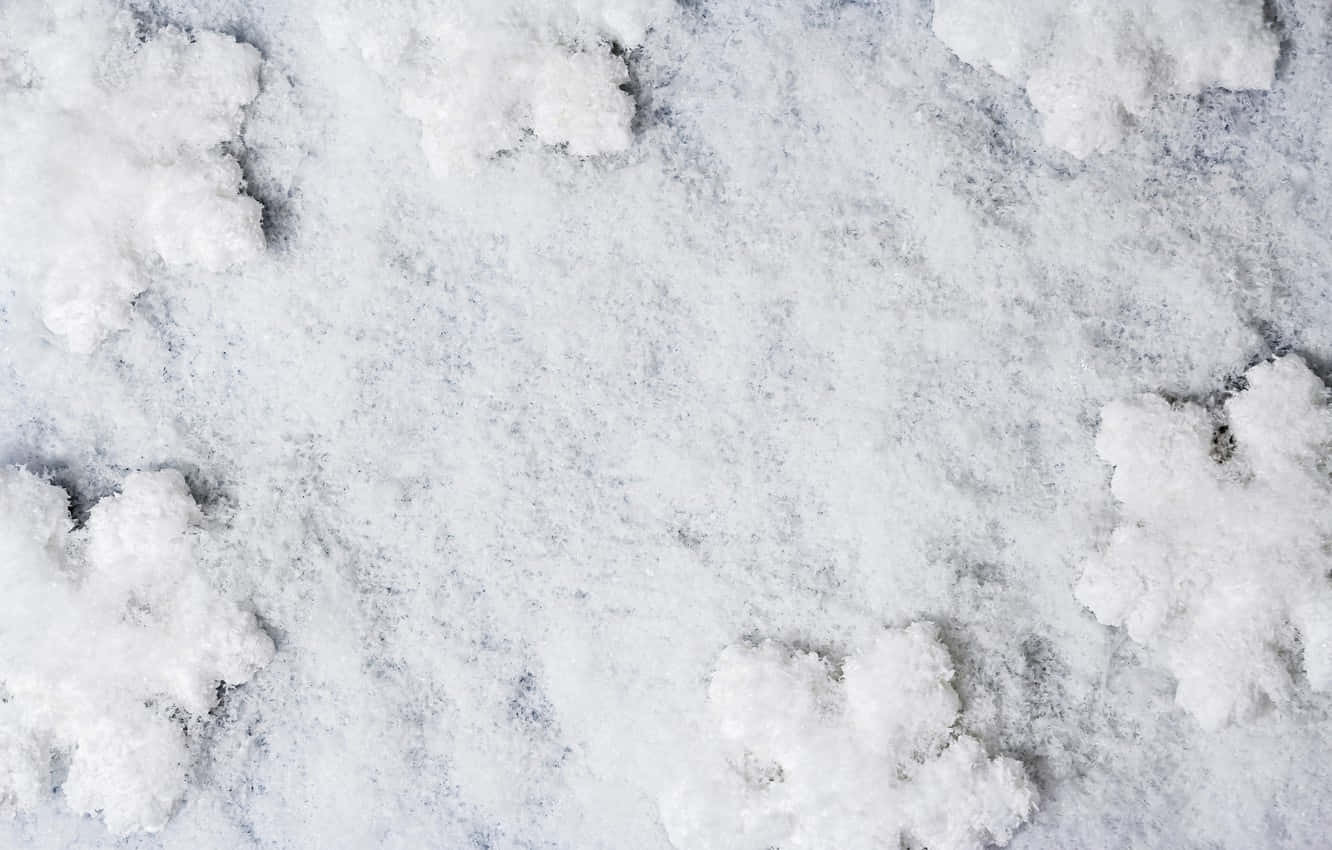 雪花落在冬天的冰地上