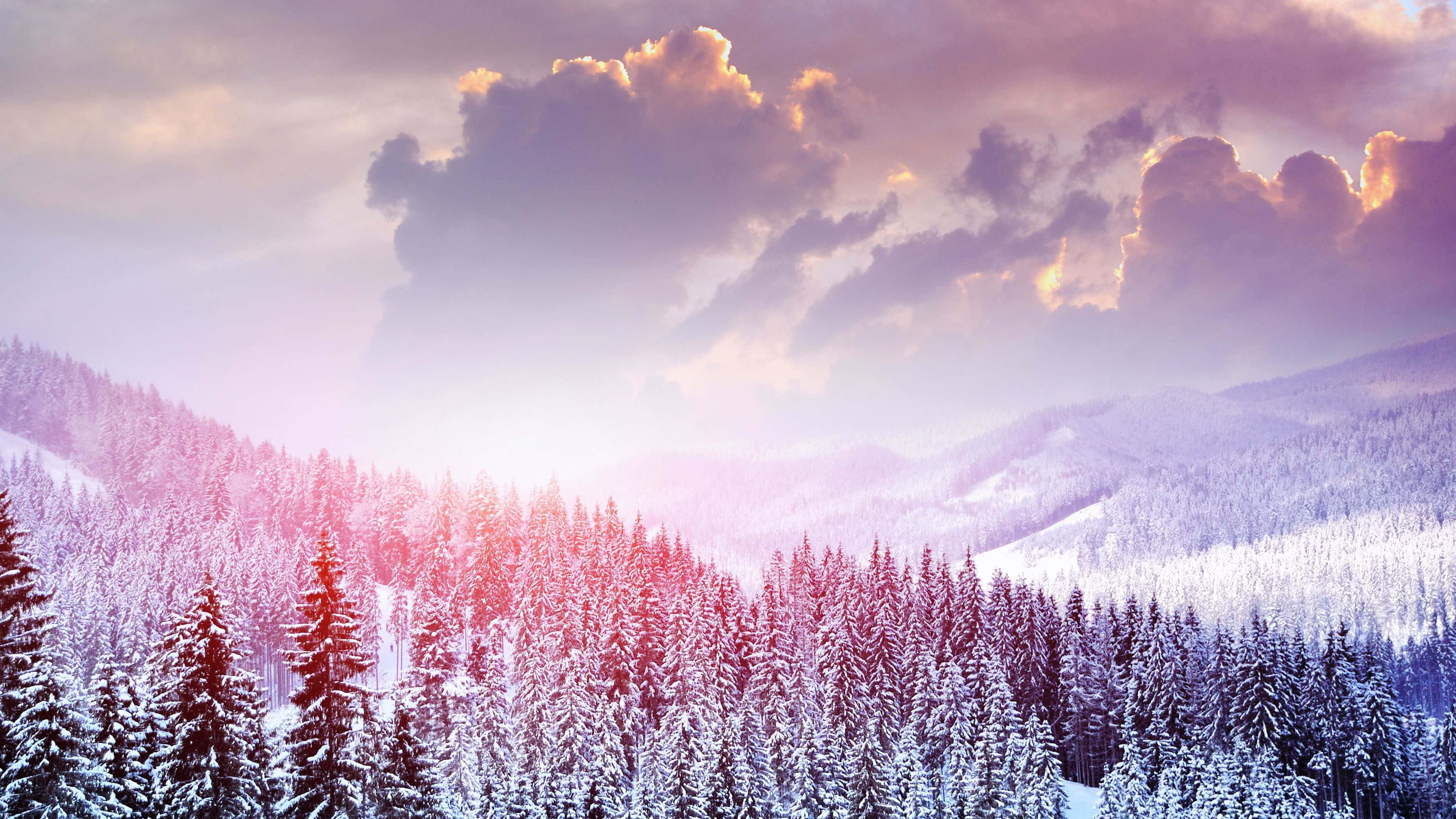 Snowy Landscape 桌布 壁紙 — 白雪覆蓋常綠樹木，在壯麗的紫色和金色日落天空下，呈現出山區冬季景觀。