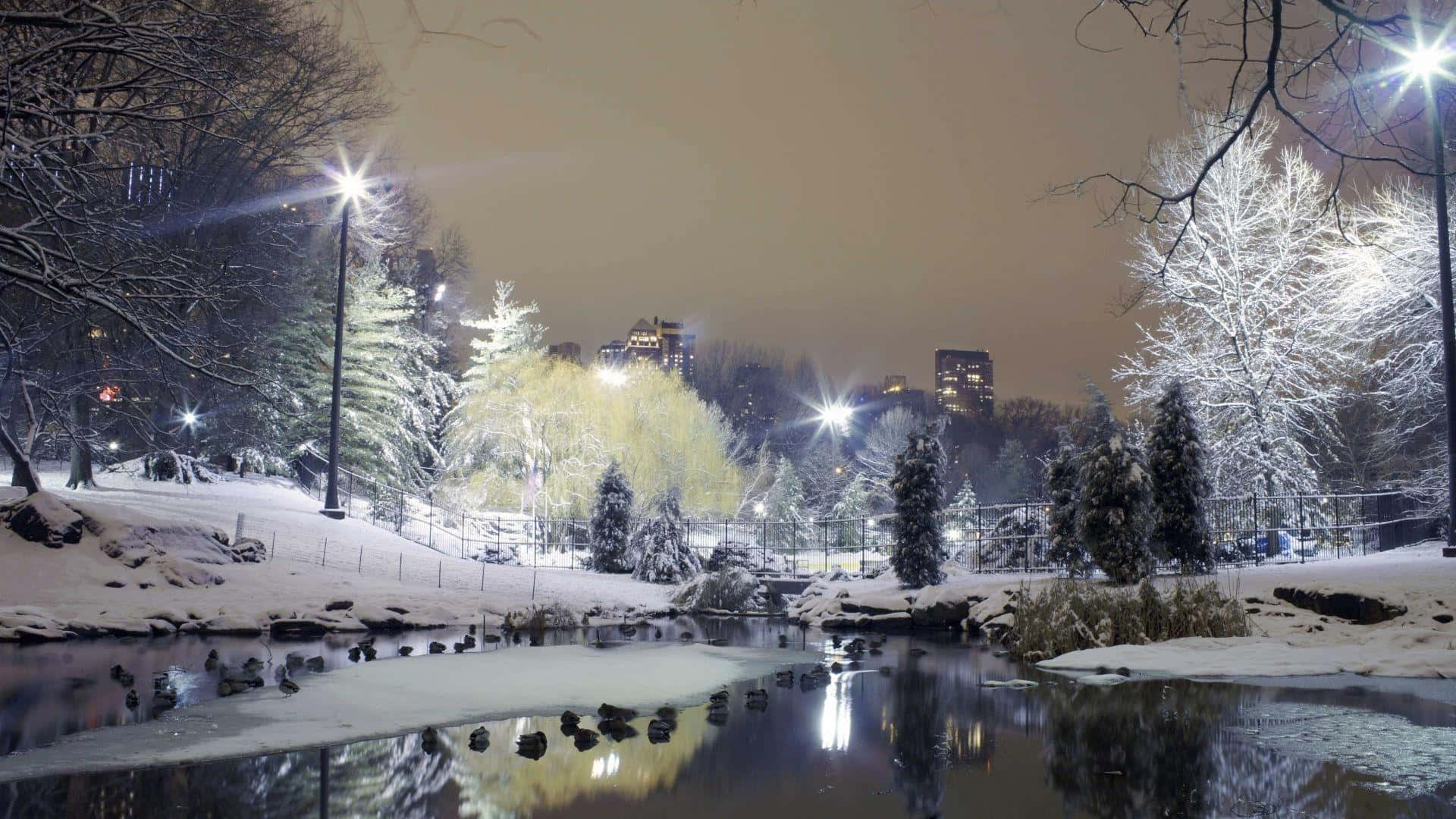 Winter Cityscape 桌布 壁紙 — 白雪覆蓋樹木和地面，在寧靜的公園夜晚，發光的街燈倒映在平靜的池塘中。