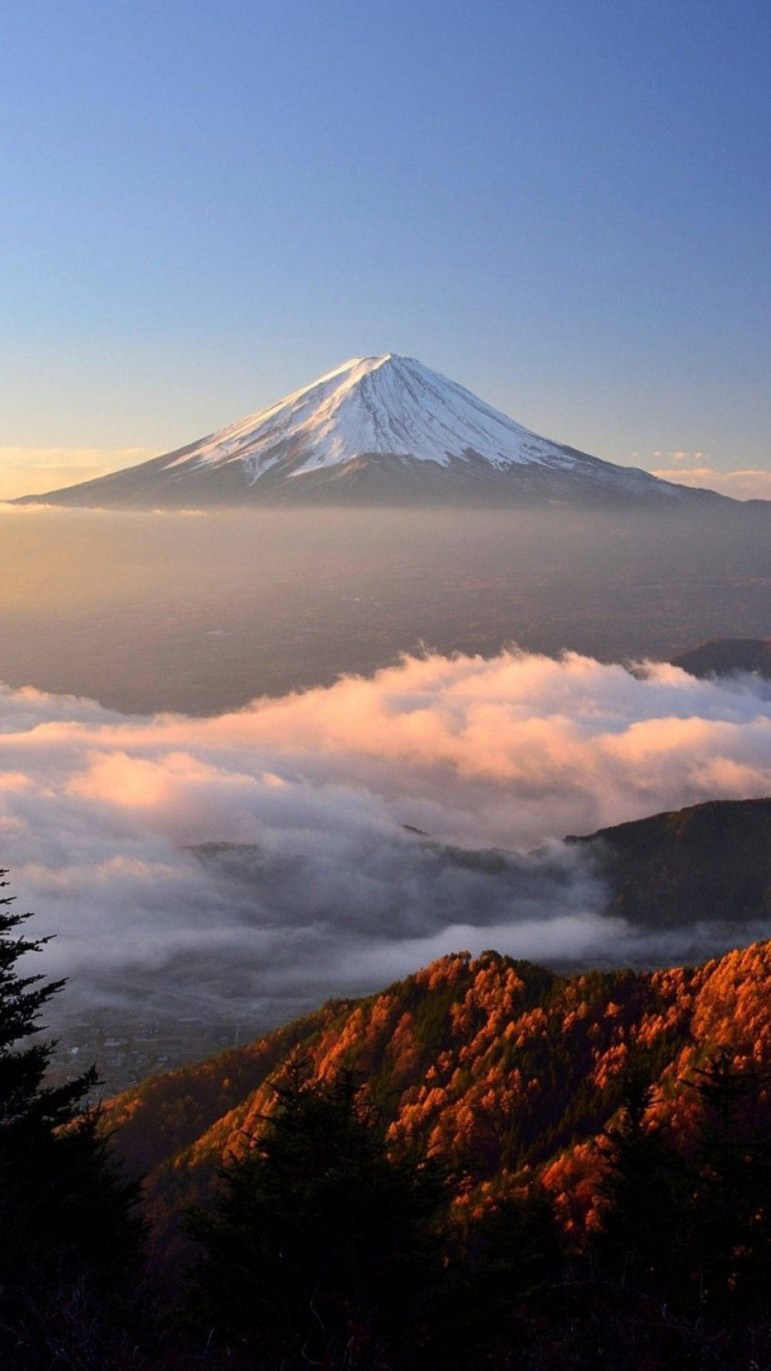 Mount Fuji 桌布 壁紙 — 白雪覆蓋的富士山在日出時雄偉地聳立在金色雲海之上，下方秋葉閃耀。