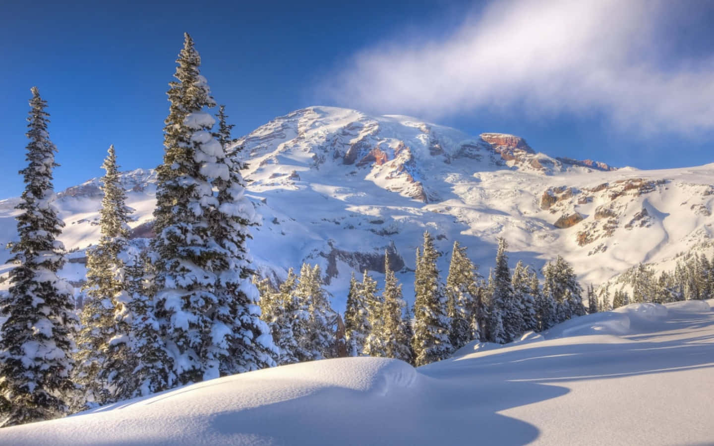 冬季 桌布 壁紙 — 白雪覆蓋的山峰在清澈的藍天下聳立，前景中的常綠樹披著白色的雪。