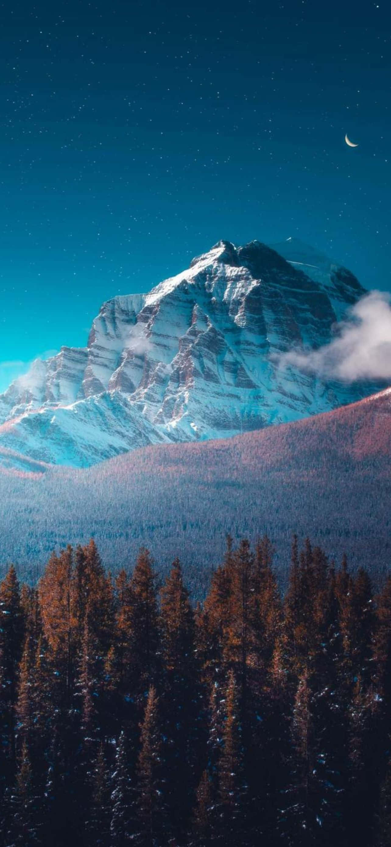 Mountain iPhone 桌布 壁紙 — 白雪覆蓋的山峰在繁星點點的夜空下升起，一彎新月懸掛在松樹林之上。