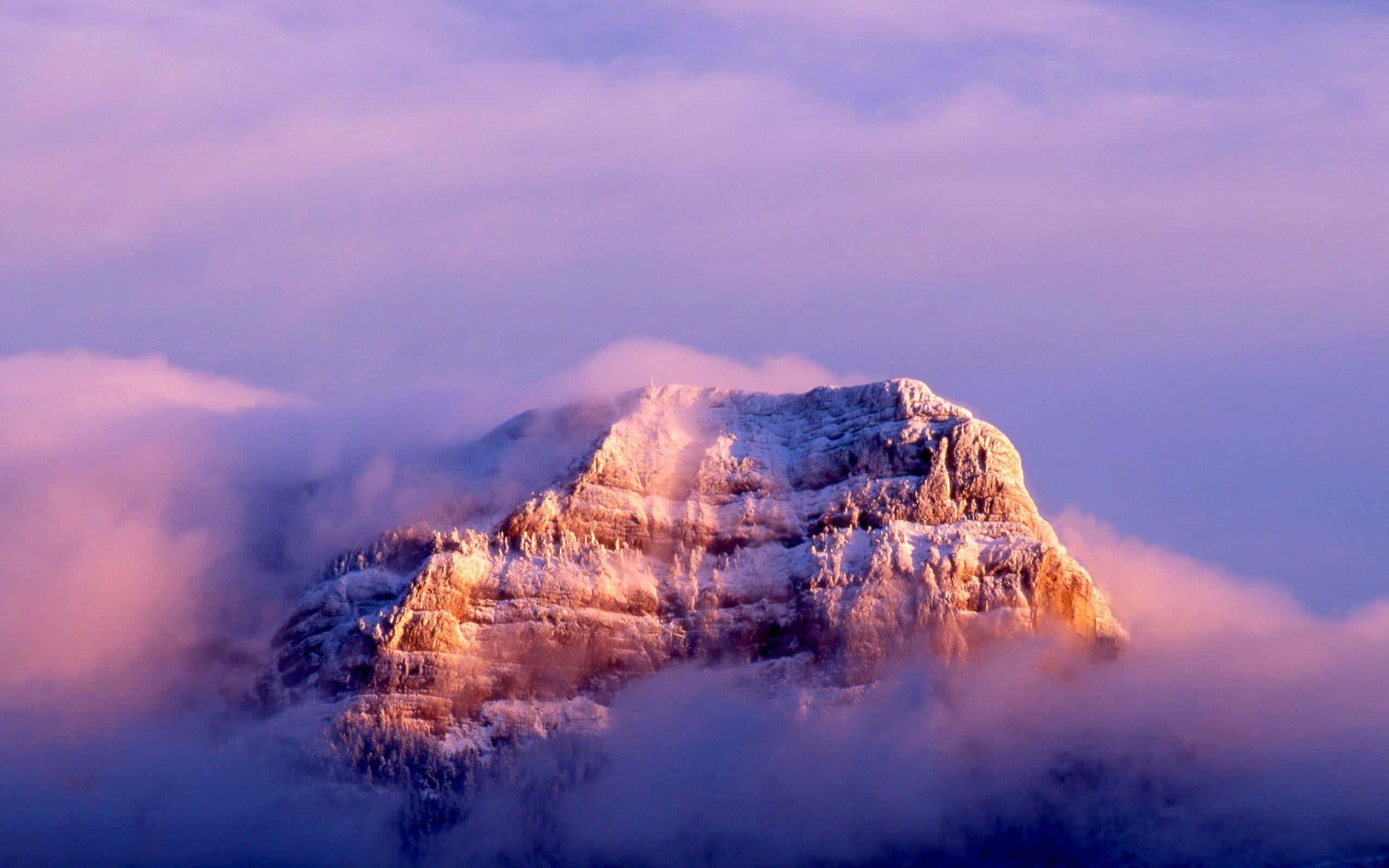 macOS 桌布 壁紙 — 白雪覆蓋的山峰從霧氣雲層中浮現，沐浴在柔和粉紅與紫色的日出光芒中。