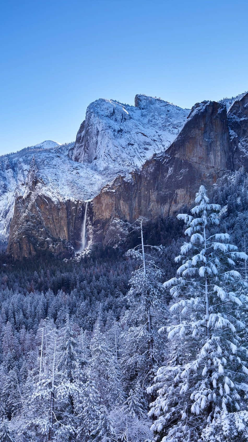 Winter Phone 桌布 壁紙 — 白雪覆蓋的山脈，有瀑布傾瀉而下，常綠樹在清澈藍天下。