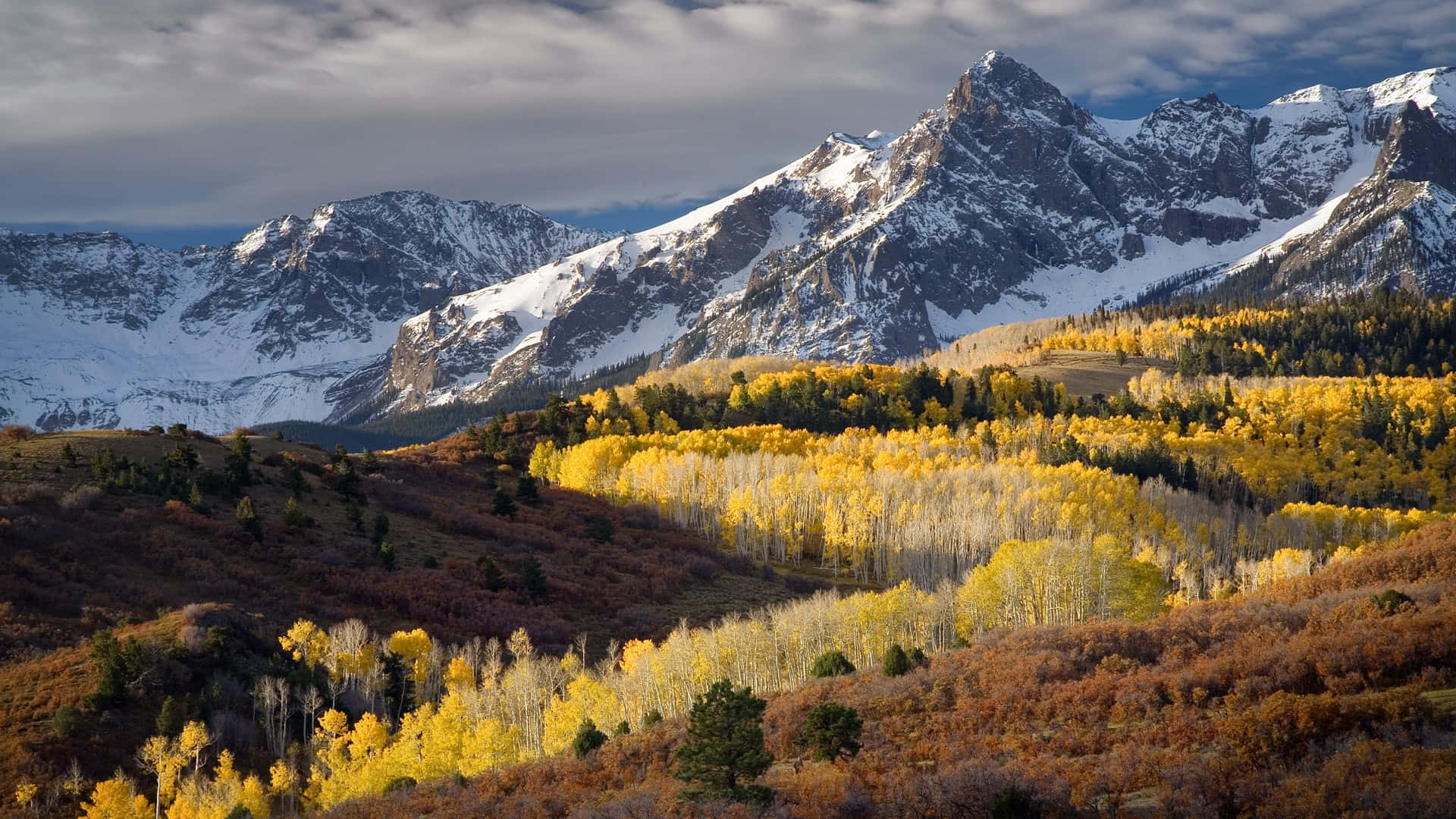 Colorado 桌布 壁紙 — 白雪覆蓋的山脈在陰天之下，從金色白楊樹的山谷後方升起。