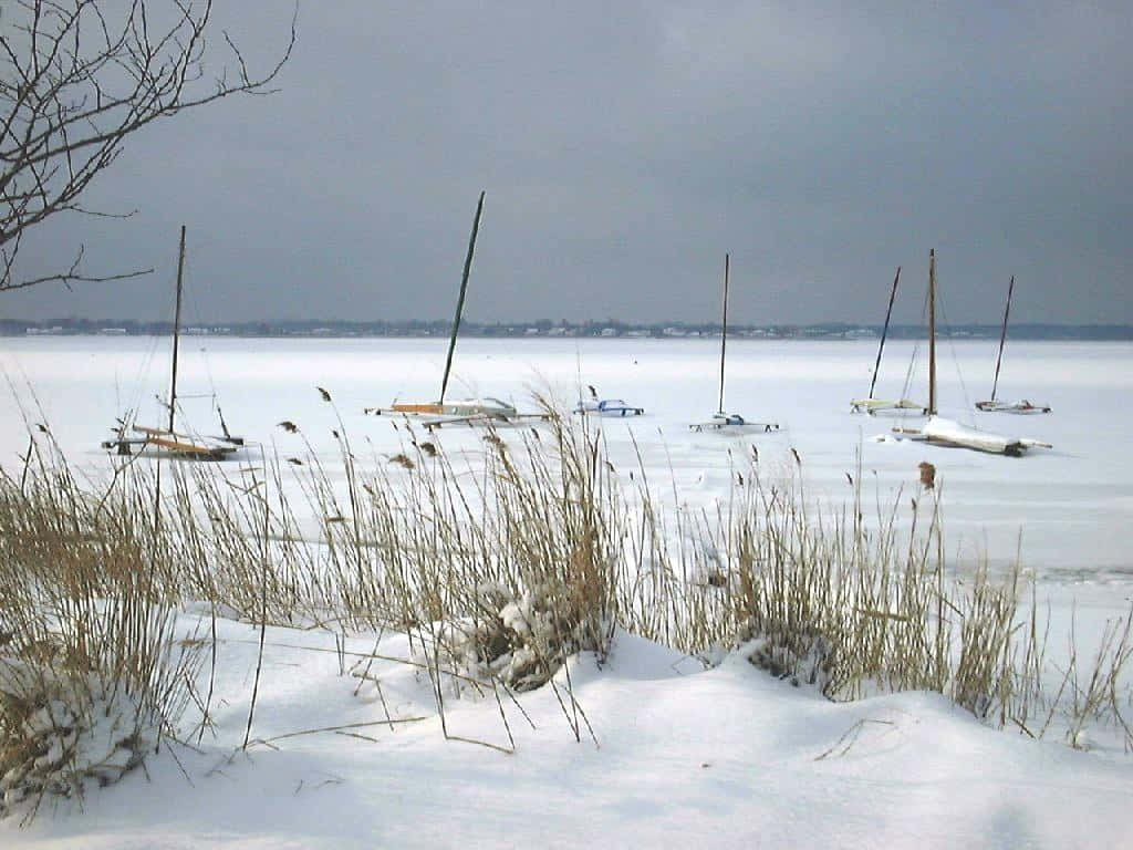 Winter Beach 桌布 壁紙 — 白雪覆蓋的帆船在灰色冬日天空下停泊在結冰的湖面上，前景有乾燥的蘆葦。