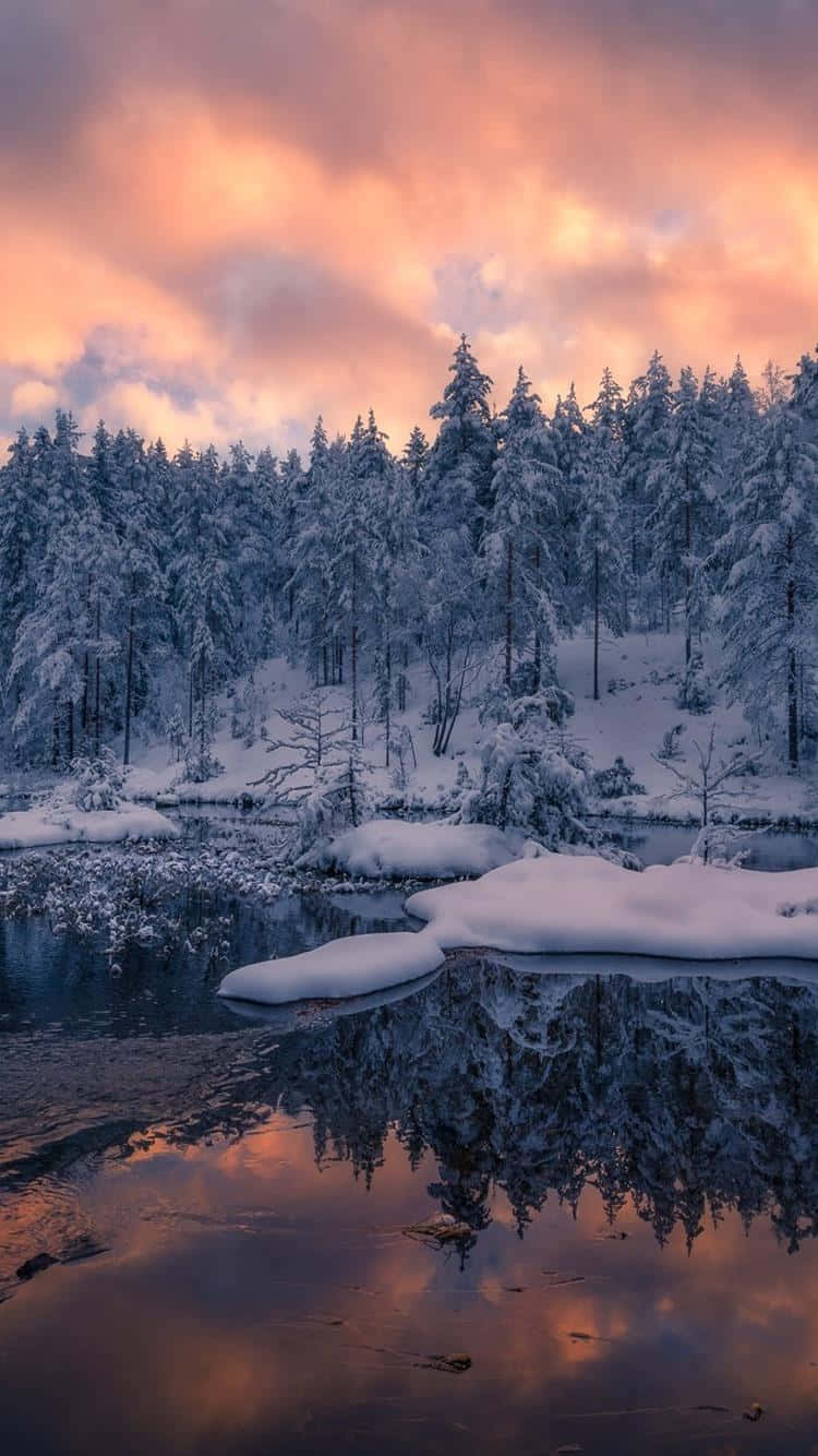 Norway 桌布 壁紙 — 白雪覆蓋的松樹在平靜的河面上倒映，天空呈現出充滿活力的粉紅色和橙色日落。