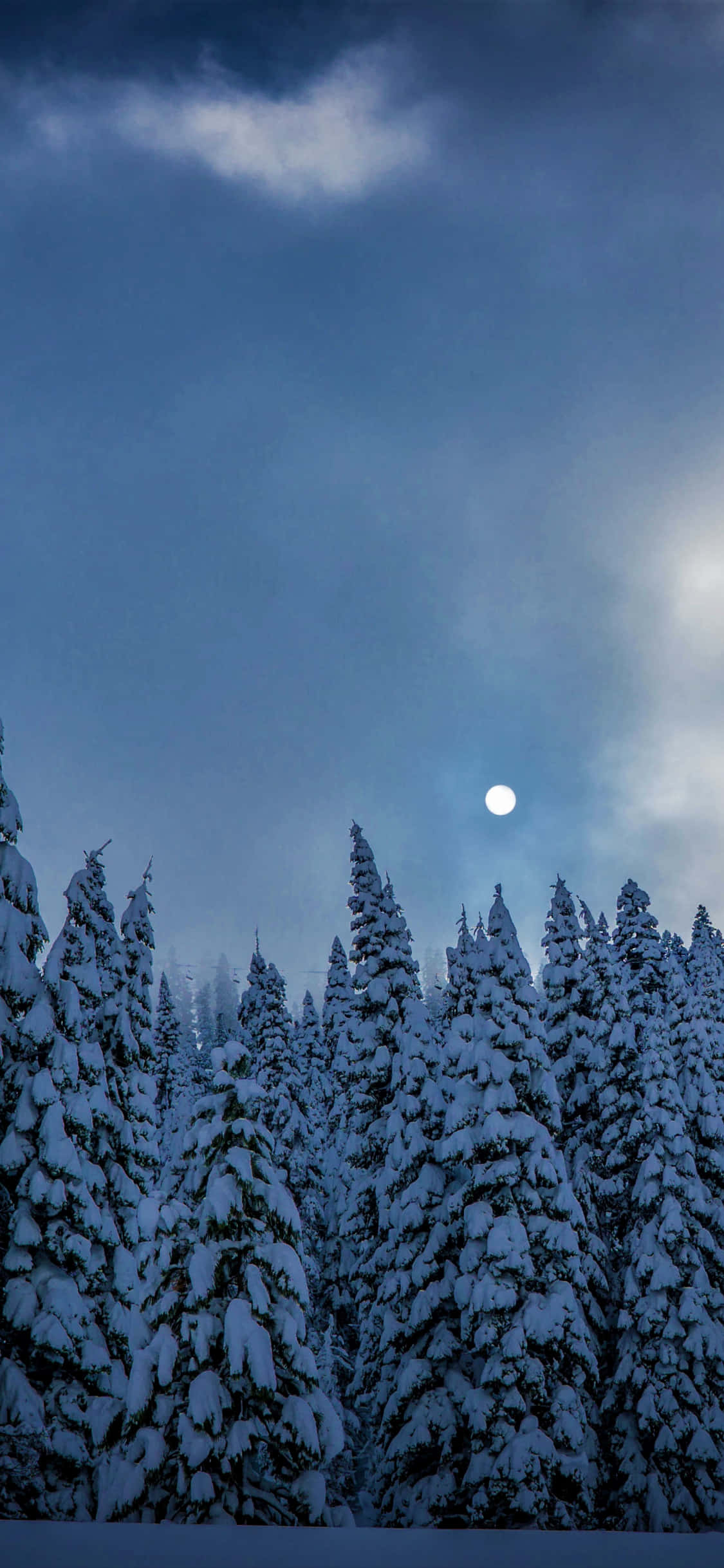 iPhone X Nature 桌布 壁紙 — 白雪覆蓋的松樹在月光照耀的冬日天空下，伴隨著飄動的雲朵高高聳立。