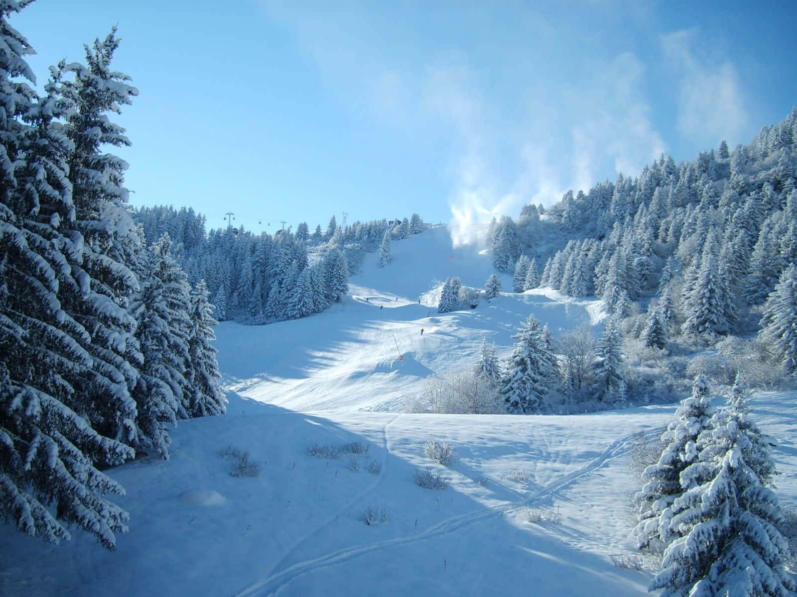 冬季 桌布 壁紙 — 白雪覆蓋的松樹框住了一片明亮的藍天，下方是陽光明媚的滑雪坡道，可見滑雪道痕跡和遠處的滑雪者。