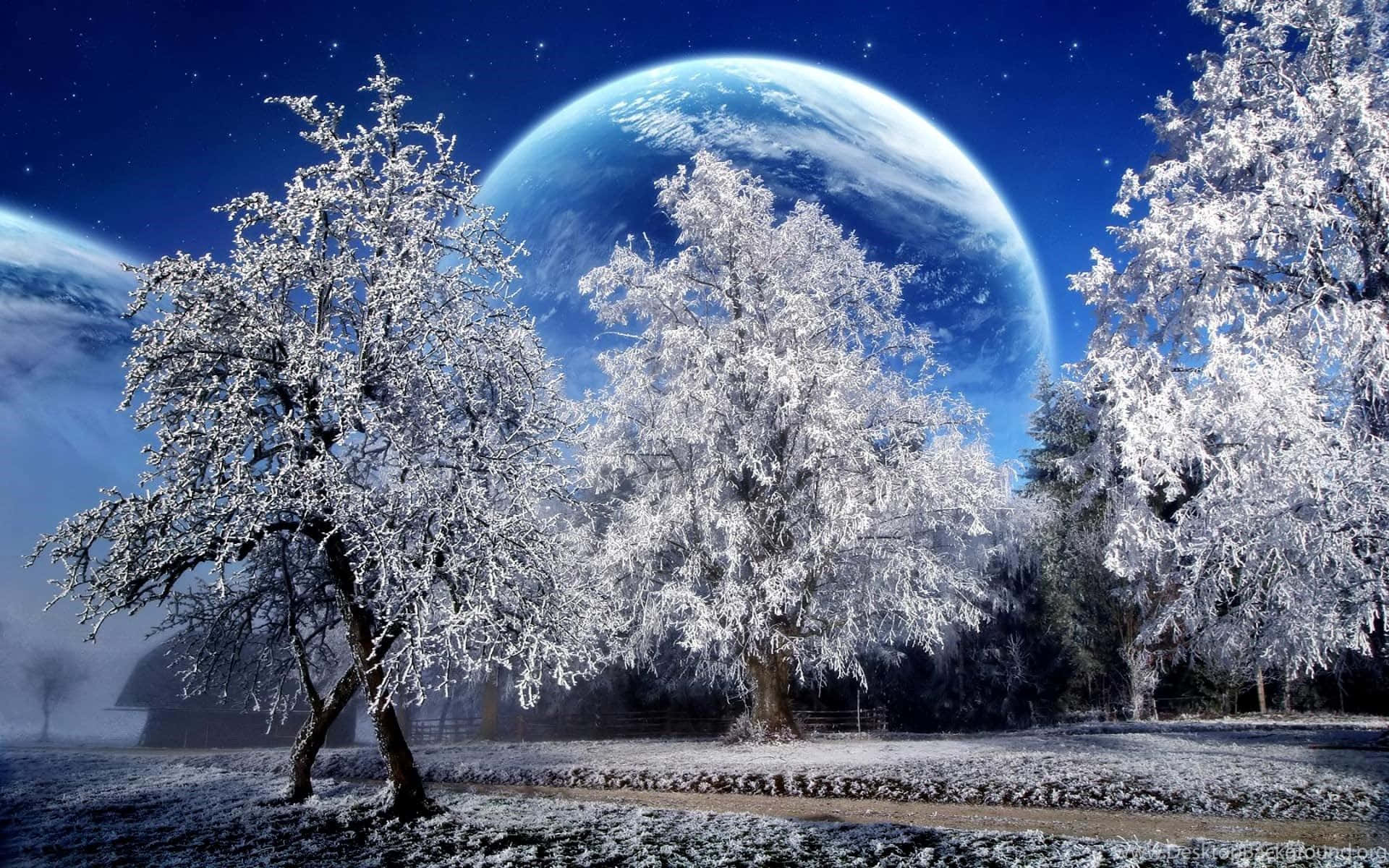 winter solstice 桌布 壁紙 — 白雪覆蓋的樹木矗立在結霜的田野上，星空下有一顆巨大的藍色星球懸掛在頭頂。