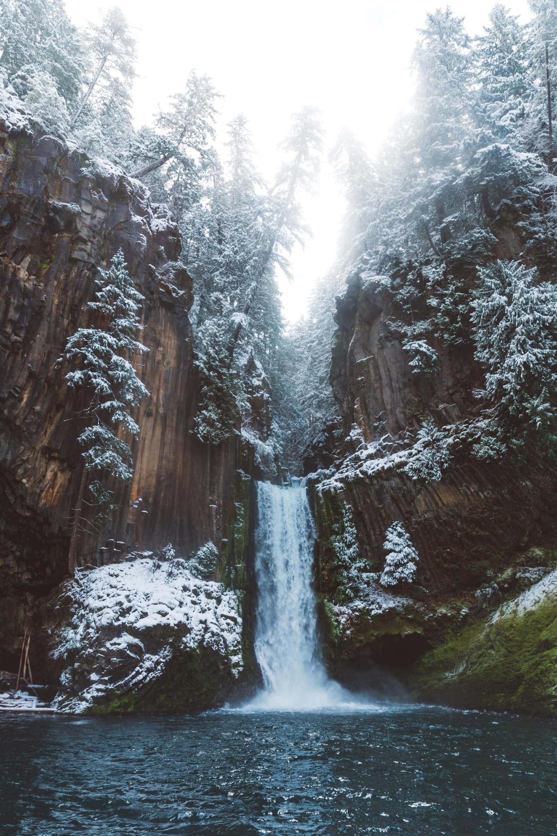 Winter Photography 桌布 壁紙 — 白雪覆蓋的瀑布穿過霧氣瀰漫的森林峽谷，兩旁是積雪的常青樹和深色岩壁。